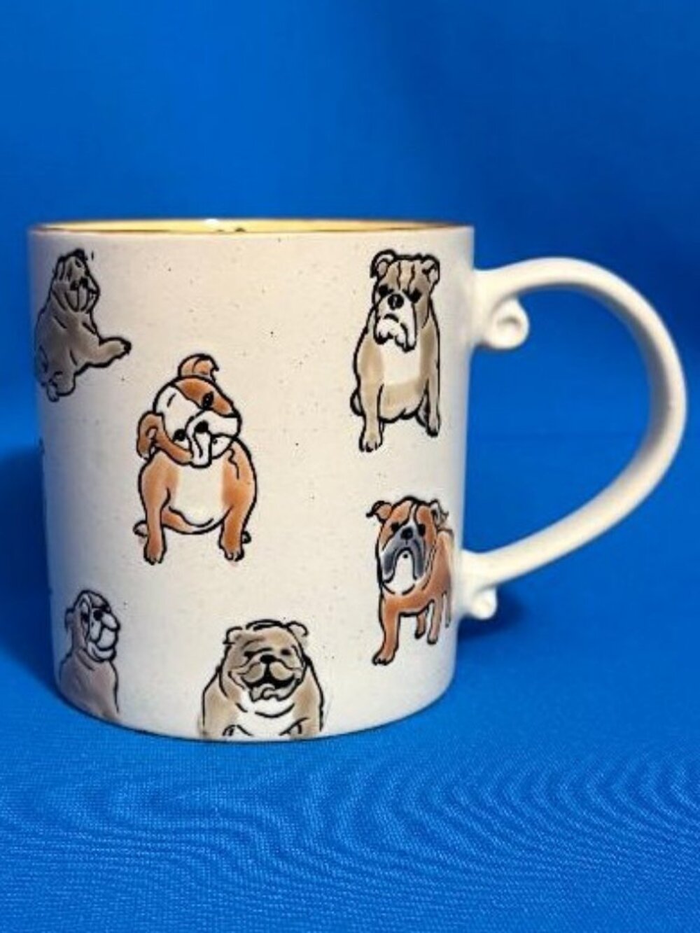 NEW ENGLISH BULLDOG & PAW PRINT GORGEOUS & ADORABLE 21 OZ / 21 OUNCES MUG / CUP